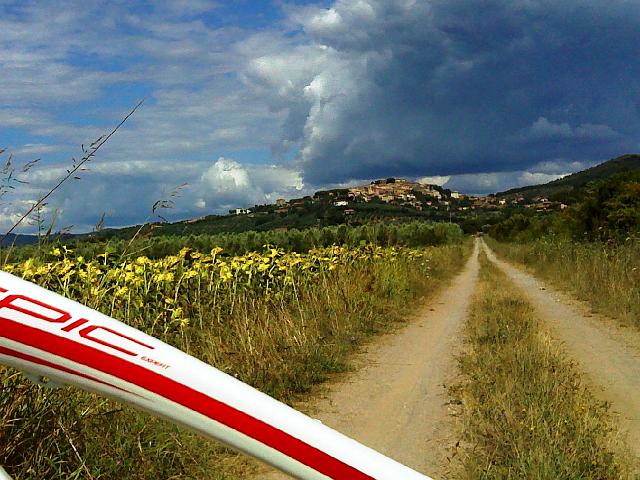 castagneto 082a.jpg